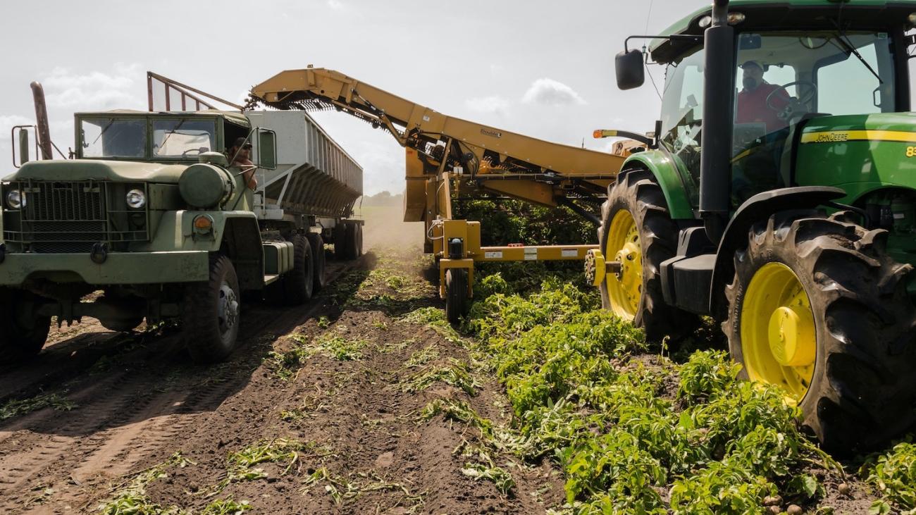 truck and tractor in field