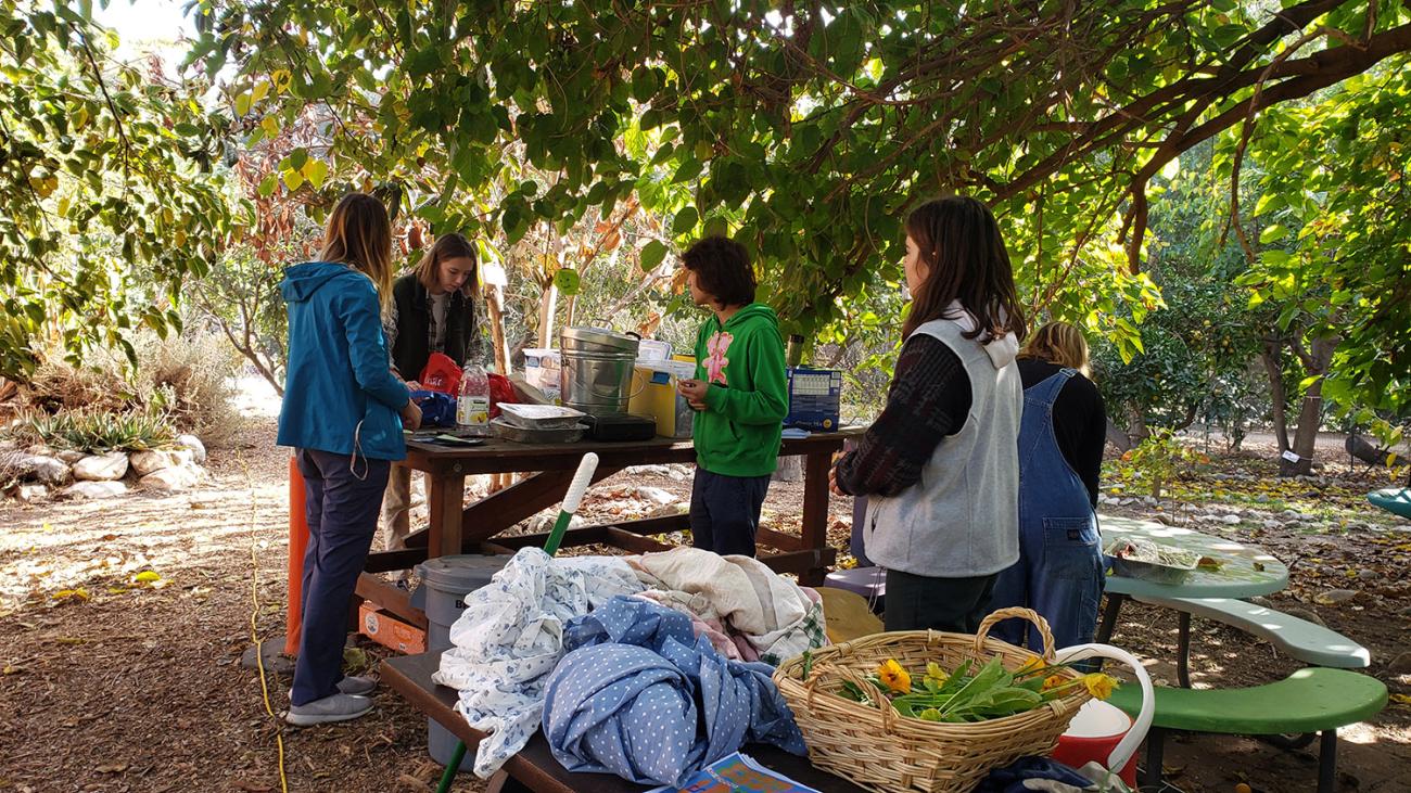 Students preparing a homegrown feast for FarmFest 2022.