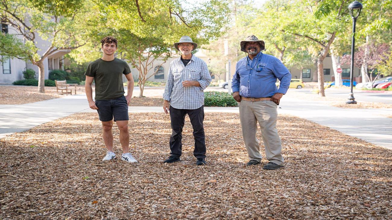 Jacob Green, Char Miller and Ron Nemo stand on campus area converted to drought-friendly landscape