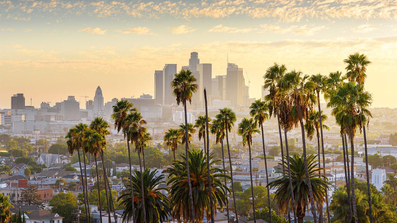 Sunset view of Los Angeles skyline with palm trees and skyscrapers