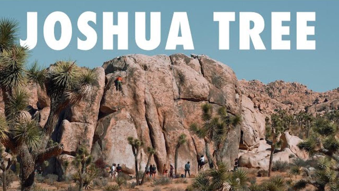 A Day in Joshua Tree National Park
