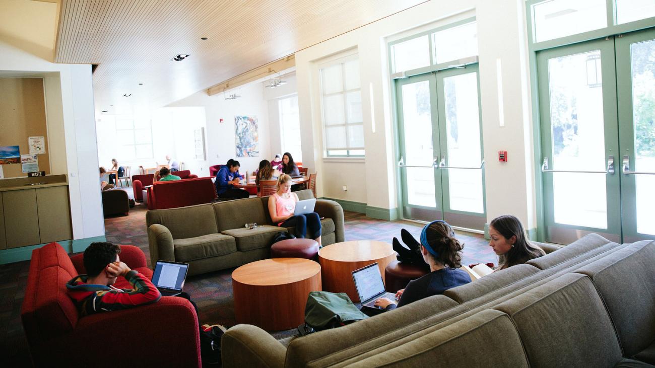 students studying in a lounge
