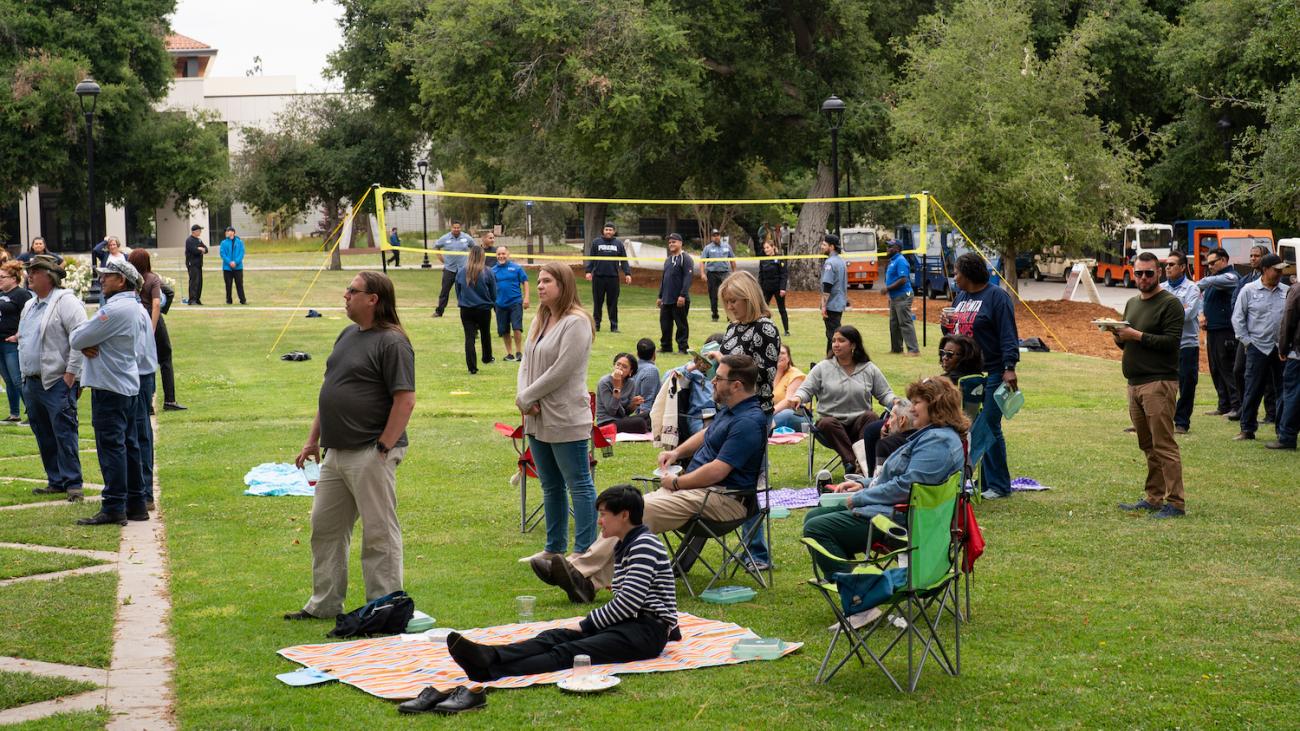 People sitting and standing on grass