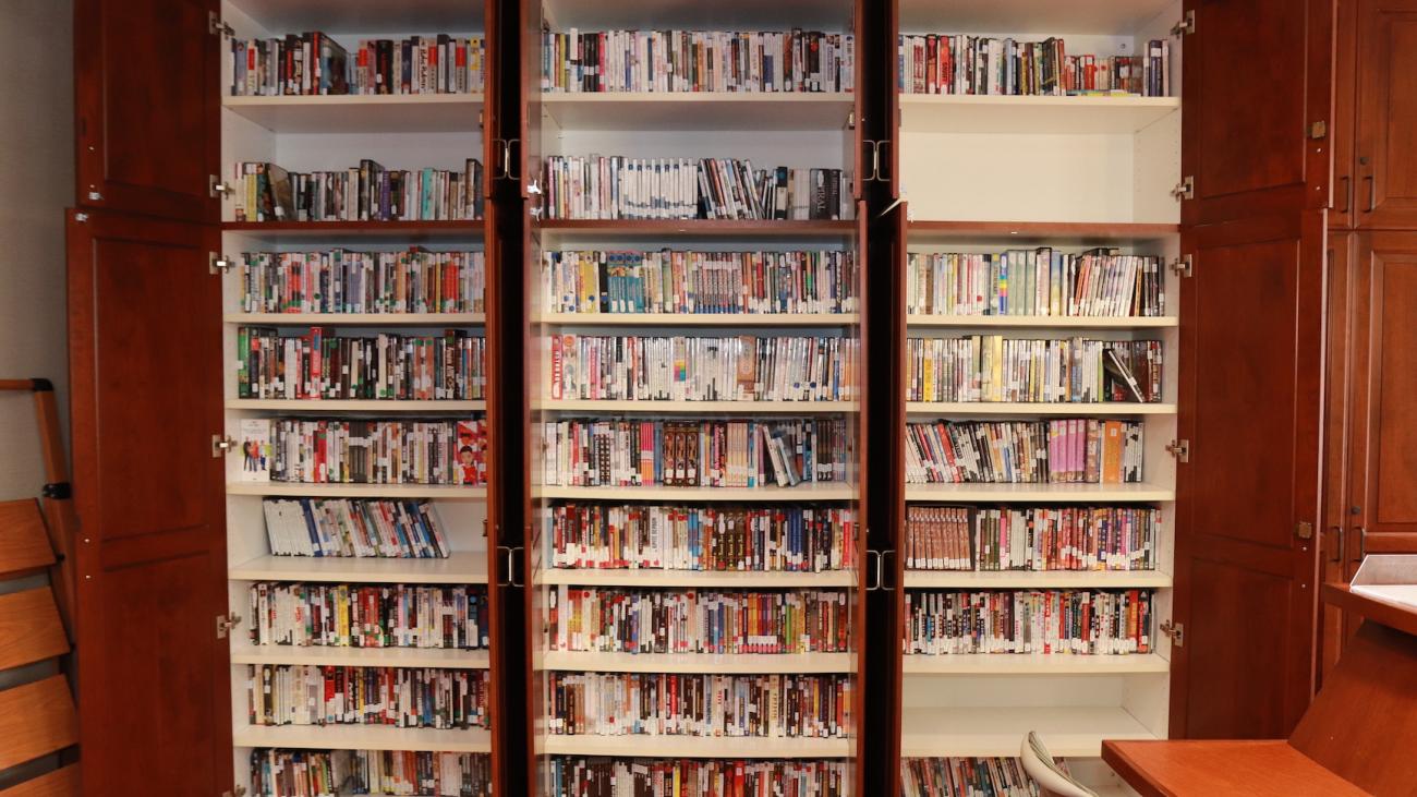 FLRC DVD and VHS foreign film collection
