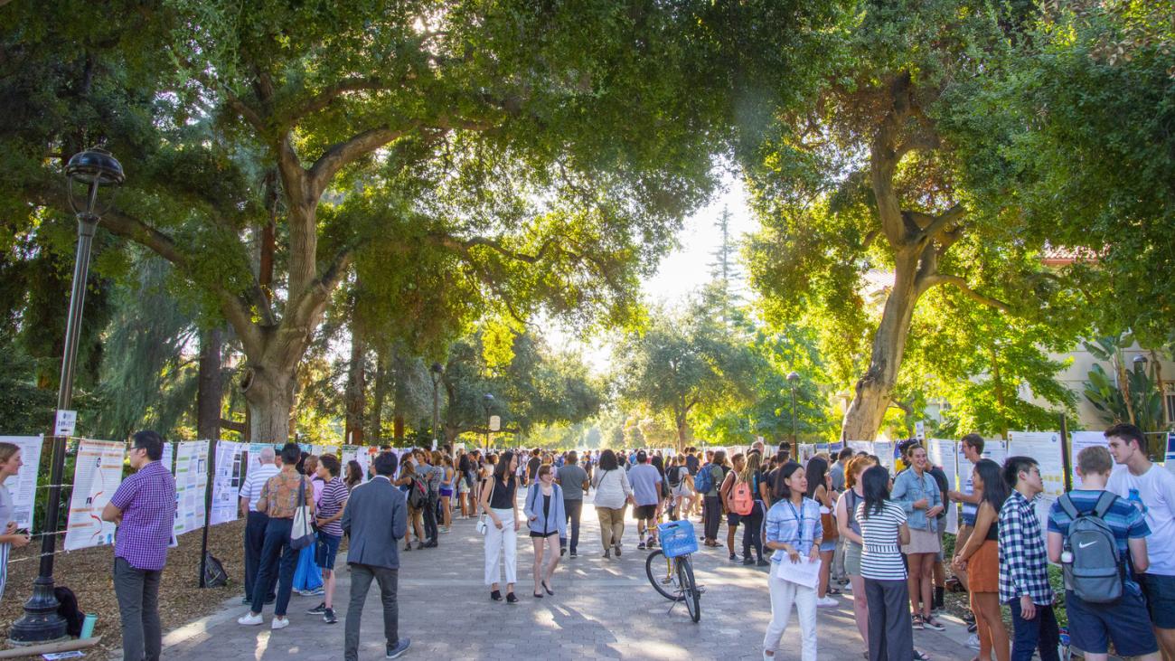 Intensive Summer Experience Poster Conference