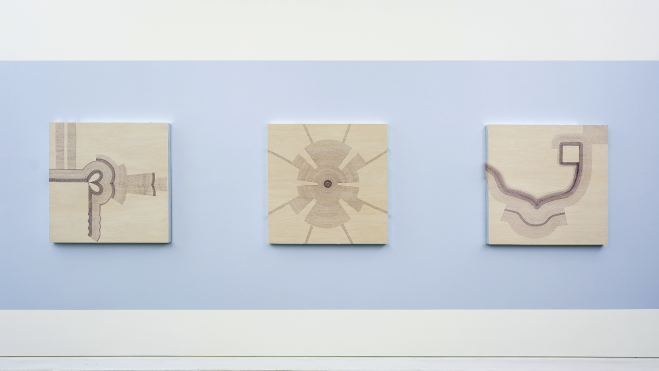 Installation view of Ananya Goel's work