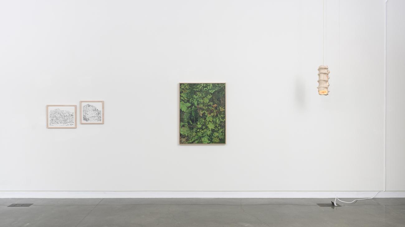 Installation view
