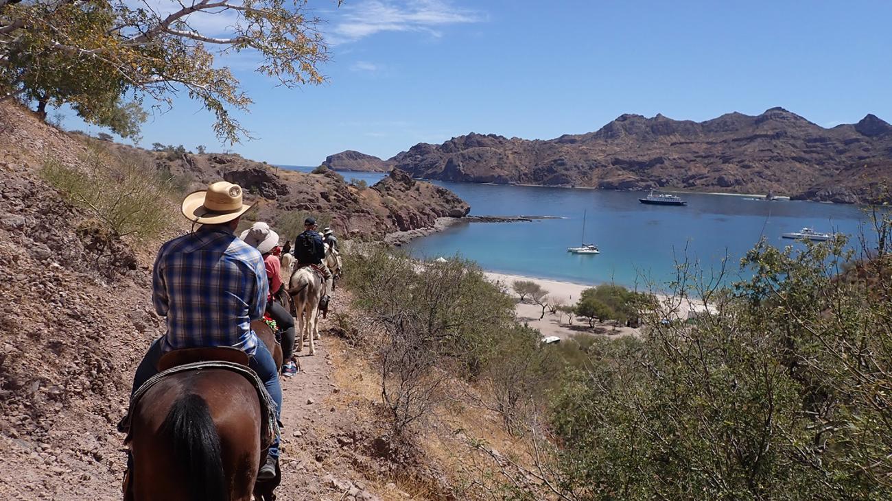 Horse ride, Baja California
