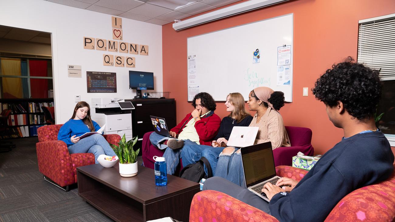 Students at Quantitative Skills Center