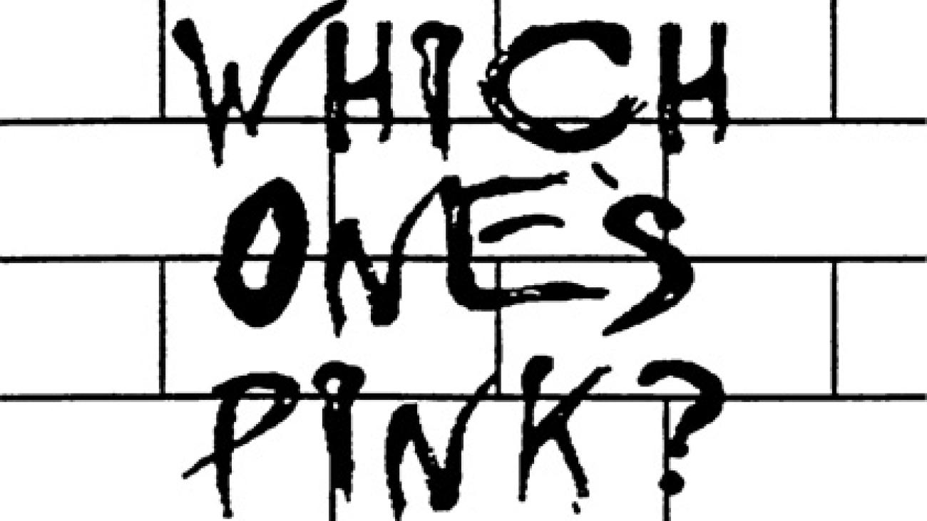 [text] Which one's Pink? in a brushy black script against a background that implies a white brick wall.