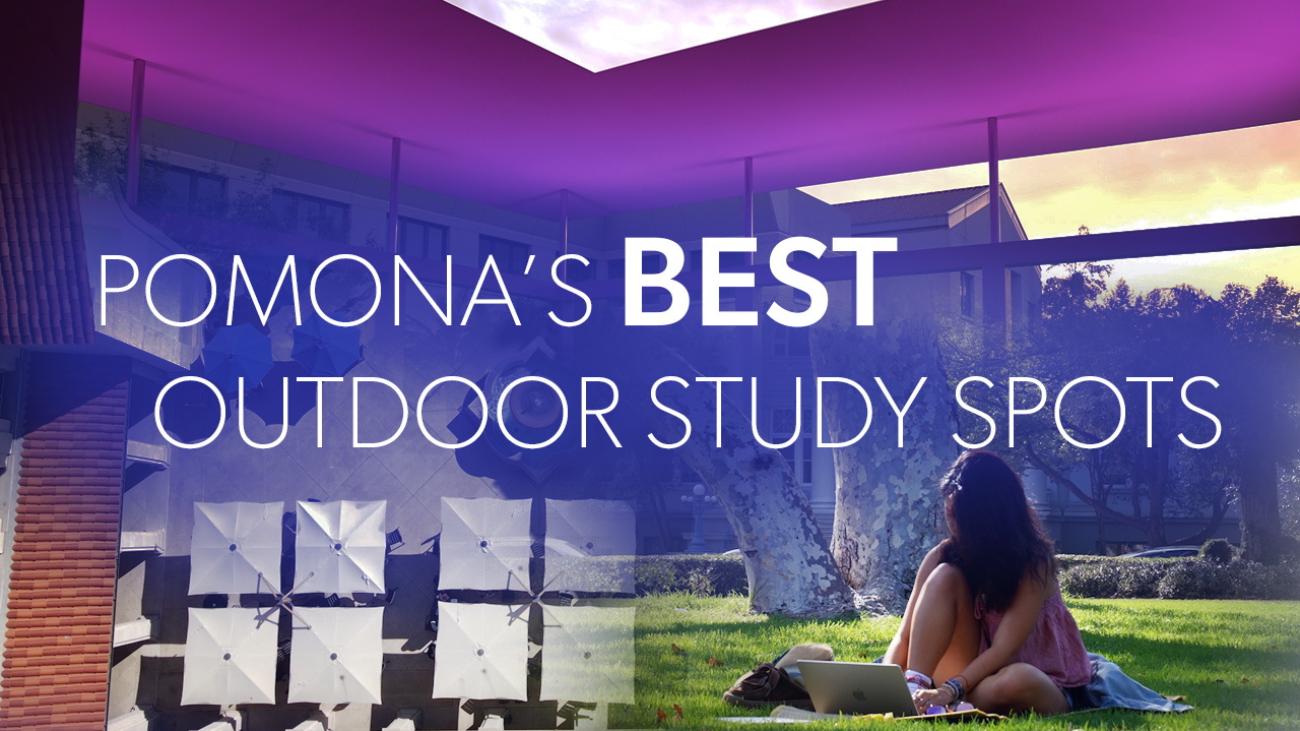 Pomona's best outdoor study spots
