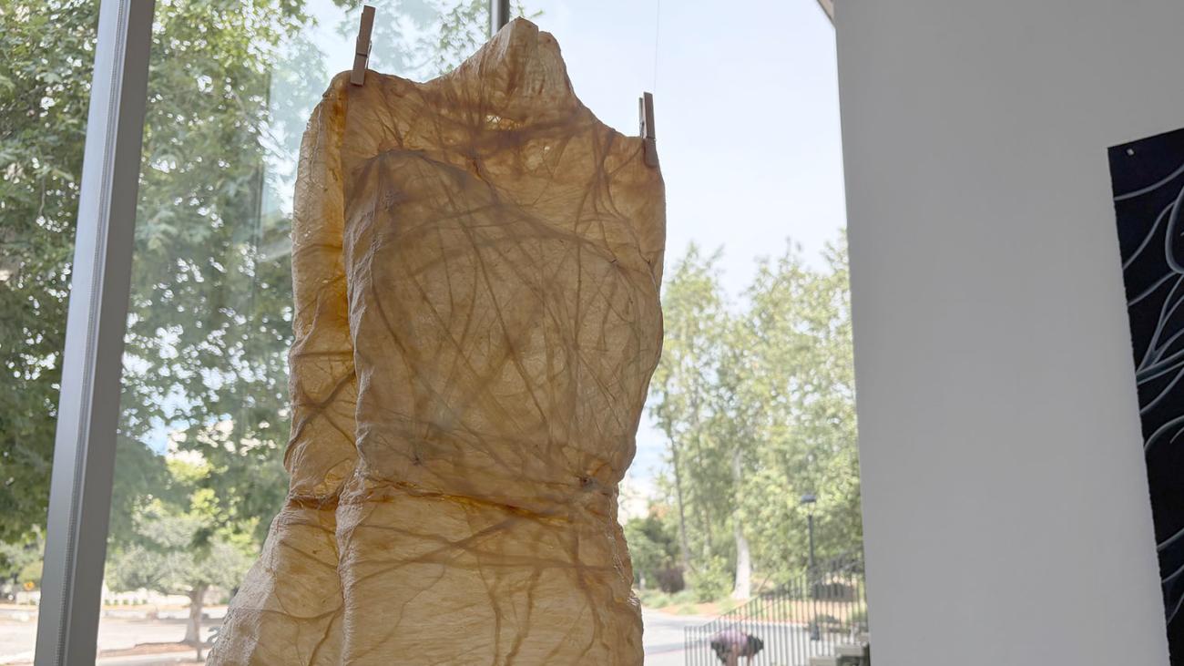 Malakai Marquez, torso, latex sculpture, 2026