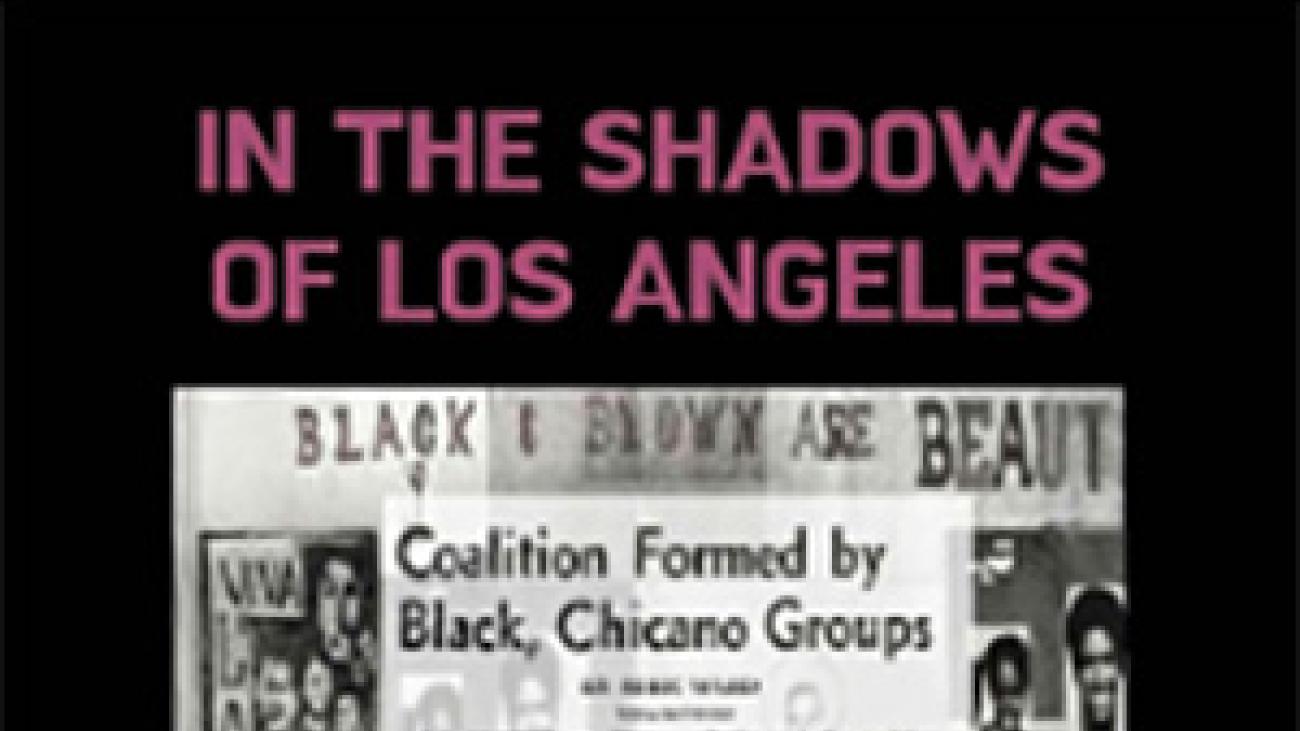 In the Shadows of Los Angeles book cover