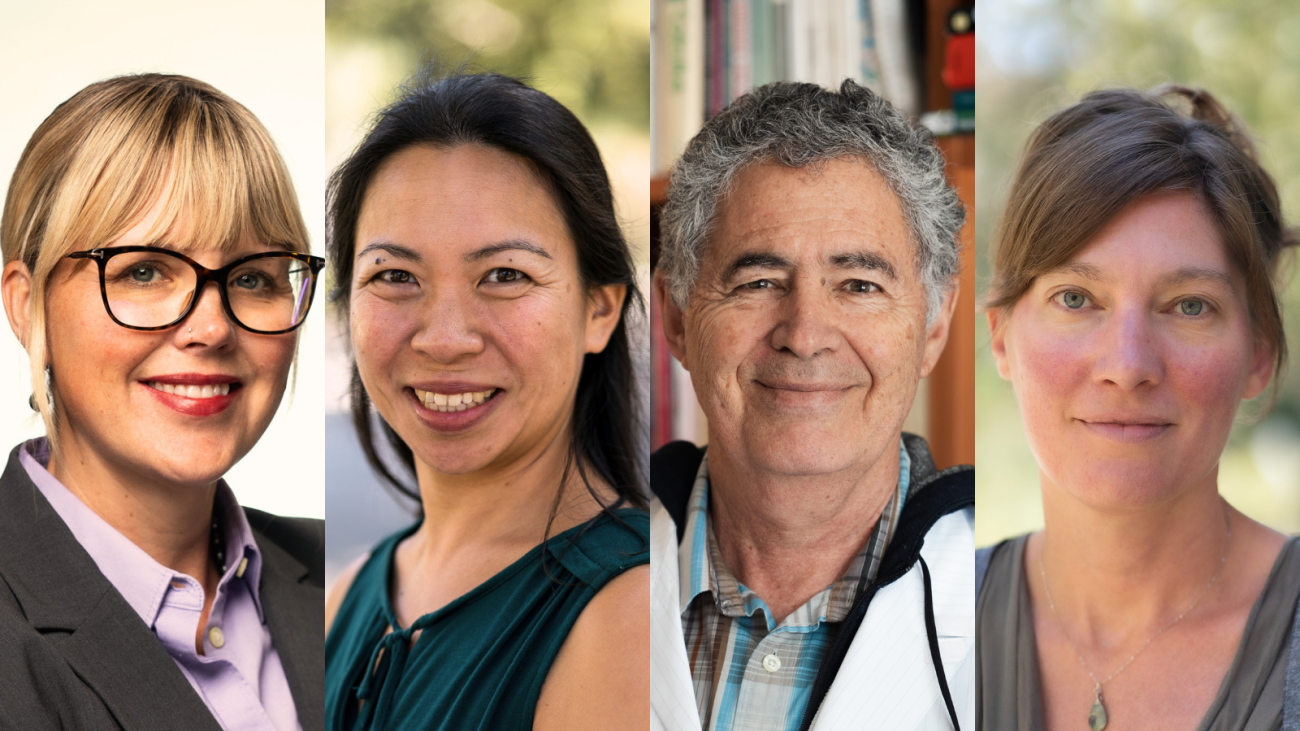 Profs. Amanda Hollis-Brusky, Jane Liu, Daniel Martinez, Colleen Rosenfeld