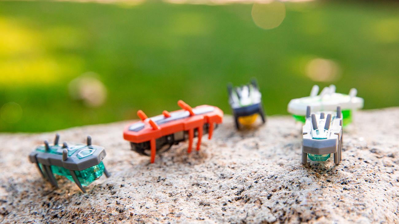 Inexpensive robotic toys called Hexbugs will be used in physics lab experiments this fall.