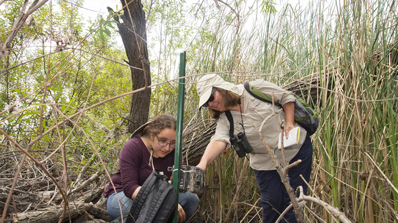 Professor Nina Karnovsky and a student at Bernard Field Station