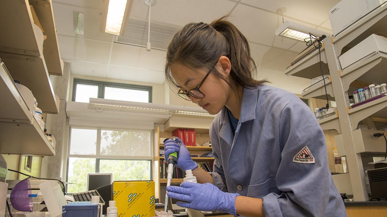 Research in Professor Tina Negritto’s lab