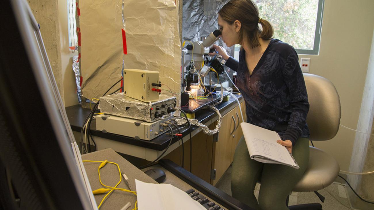 Summer research in Professor Karen Parfitt’s lab