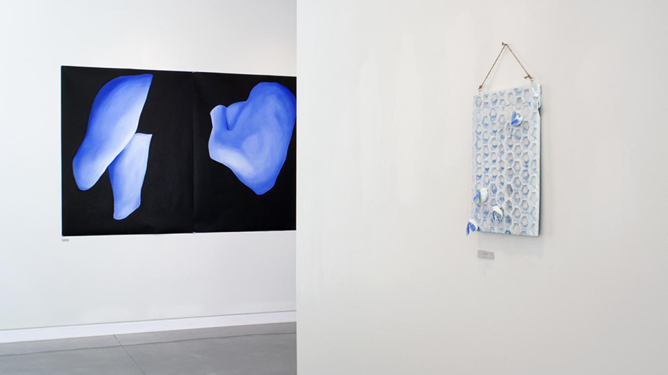 Katie Birmingham Corbett, Honey, installation view, 2016