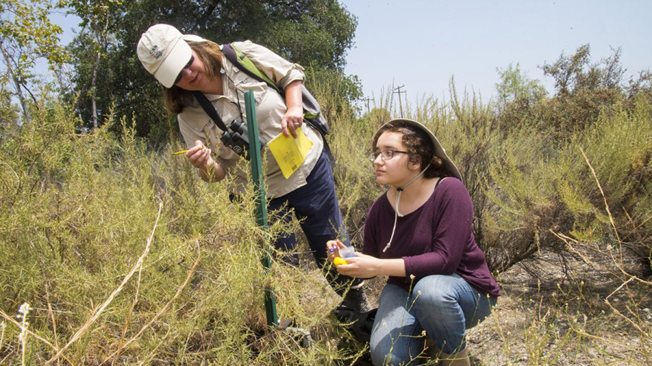 Professor Nina Karnovsky and a student at Bernard Field Station