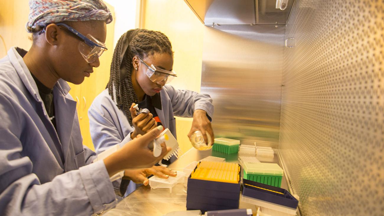 Students in Professor Tina Negritto’s lab