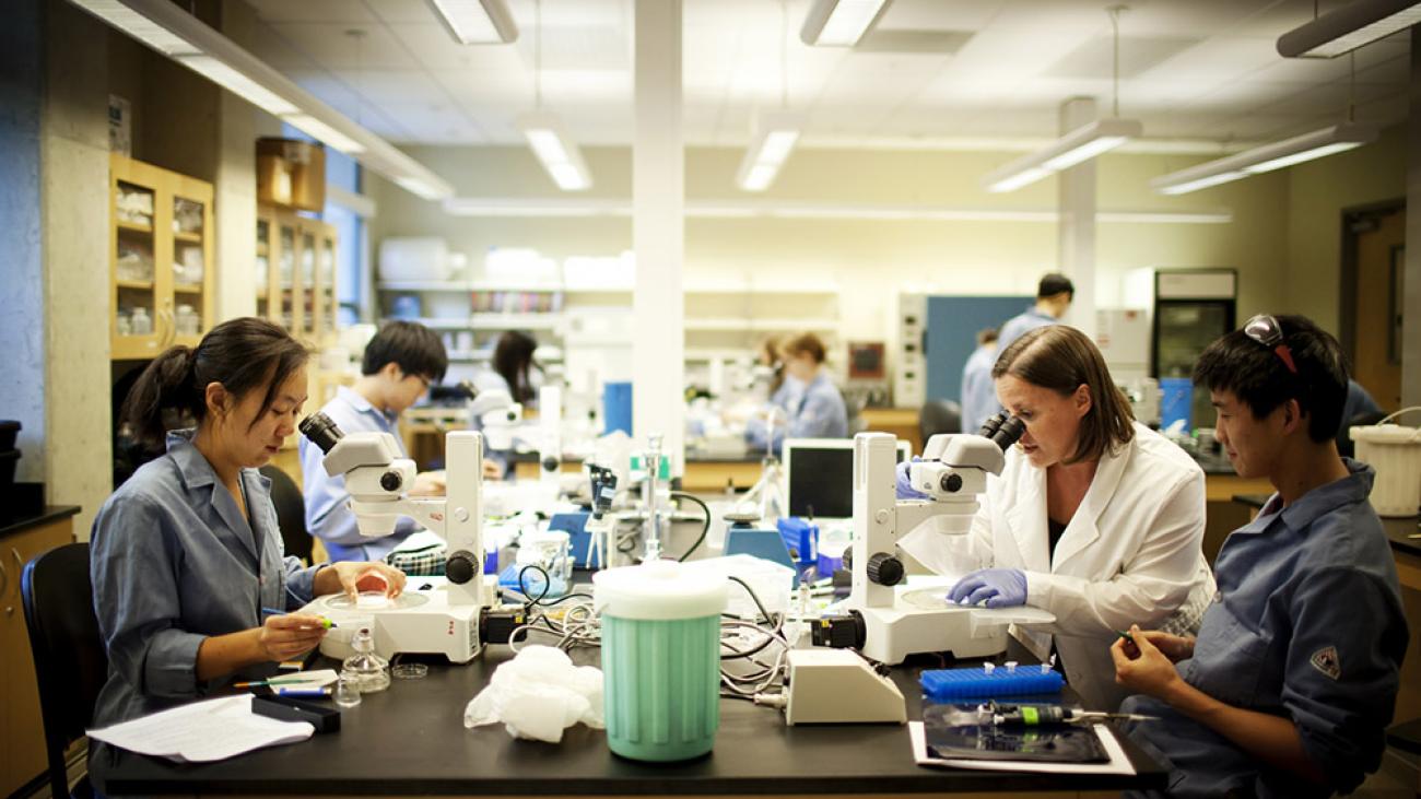 Students in lab with Professor Sara Olson