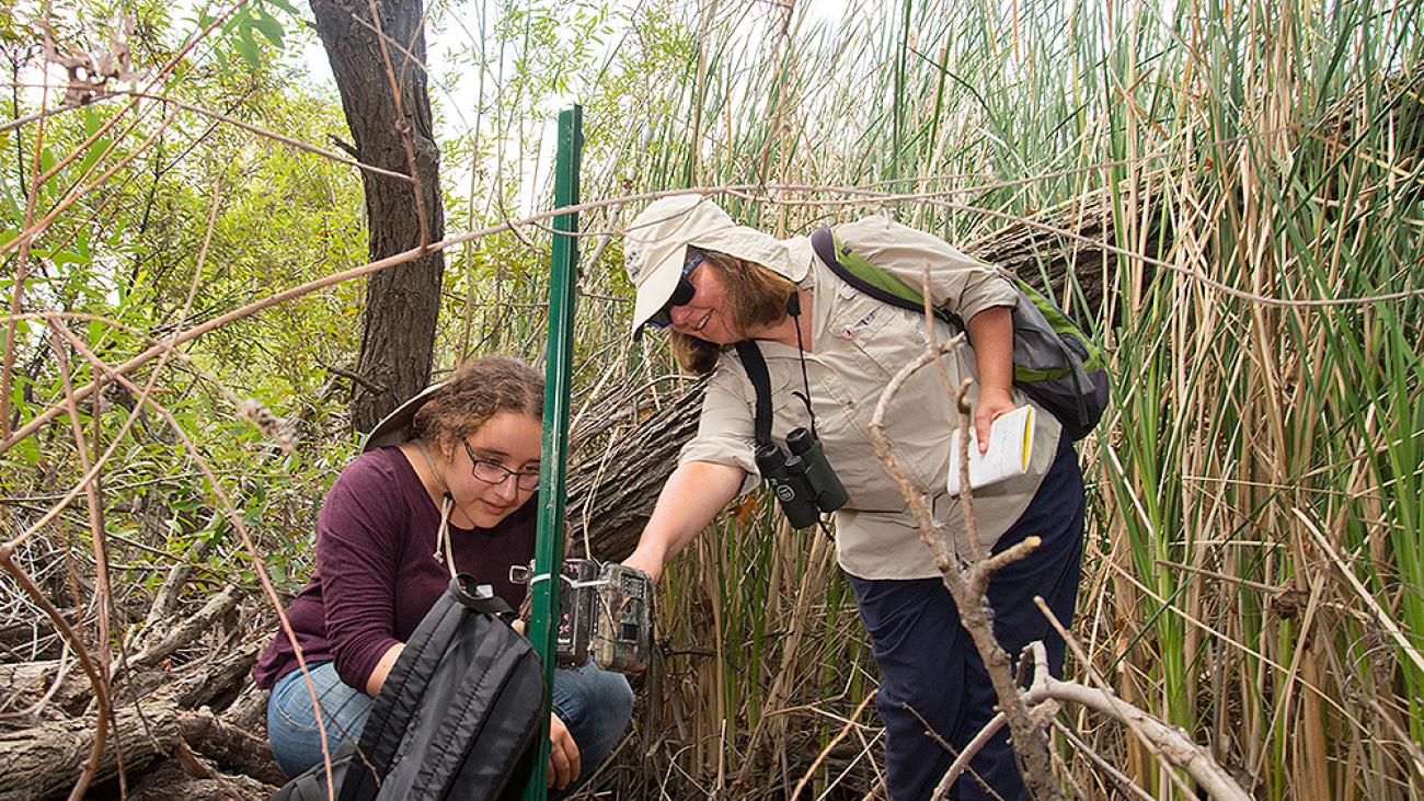 The Bernard Field Station is an 85-acre area of natural habititat near campus that serves as an outdoor laboratory.