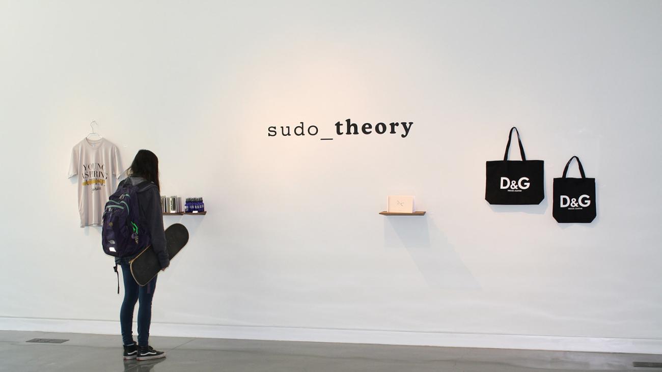 Narei Choi, sudo-theory, 2016