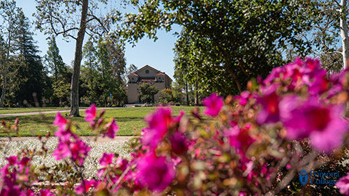 flowers in front of marston quad